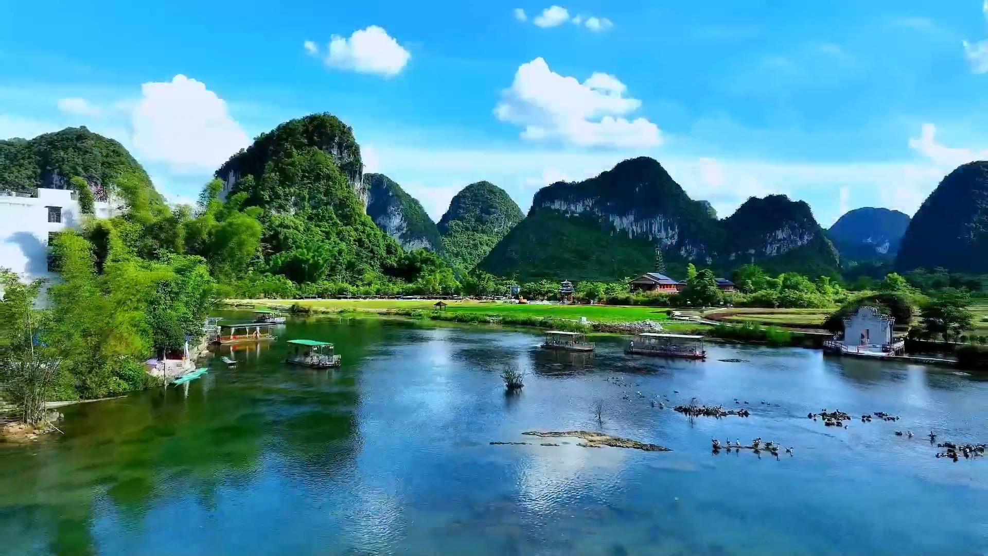 满目碧绿！这就是鹅泉的夏天